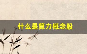 什么是算力概念股(什么是算力概念股票)_https://www.kairu168.com_广期所_第1张