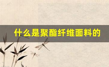 什么是聚酯纤维面料的优缺点(什么是聚酯纤维面料的优缺点呢)_https://www.huakunhengjia.com_财经资讯_第1张