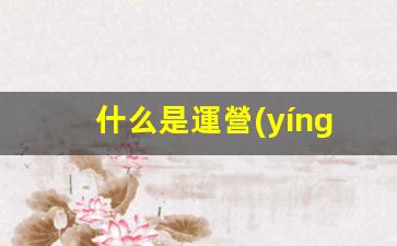 什么是運營(yíng)數據分析插圖