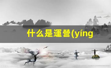 什么是運營(yíng)管理策略插圖