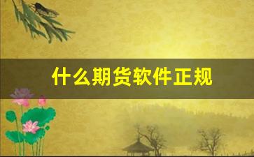 什么期货软件正规(什么期货软件比较好)_https://www.hangfeite.com_北交所_第1张