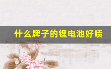 什么牌子的锂电池好喷雾器用(锂电池电动喷雾器十大排名)_https://www.dongshengweixin.com_科创板_第1张