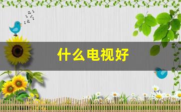什么电视好用-什么电视好