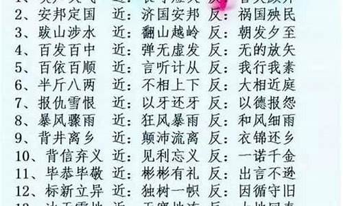 什么言什么语四字成语