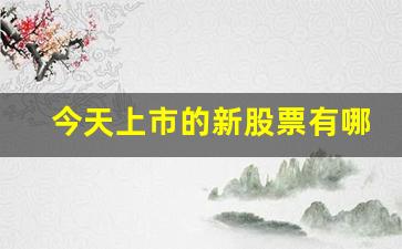 今天上市的新股票有哪几个创业板(今天上市的创业板股票有哪些)_https://www.wanyuyiyao.com_深交所_第1张