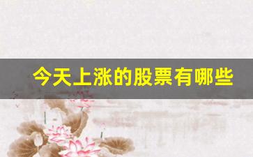 今天上涨的股票有哪些(今天涨幅最高的股票)_https://www.rzcpcj.com_直通车_第1张
