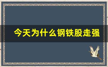 今天为什么钢铁股走强(为什么钢铁股大涨)_https://www.huakunhengjia.com_期货资讯_第1张