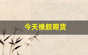 今天橡胶期货(今天橡胶期货实时行情)_https://www.jyywjc.com_股票行情_第1张