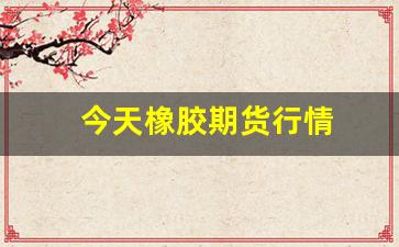今天橡胶期货行情(橡胶2405期货行情)_https://www.haiwangdasha.com_大商所_第1张
