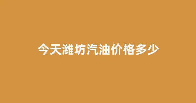 今天潍坊汽油价格多少_今天潍坊汽油价格多少钱一升