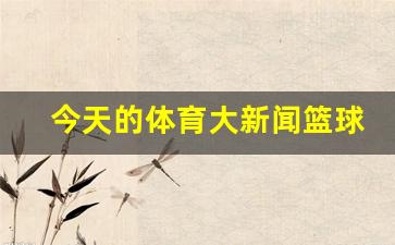 今天的体育大新闻篮球赛-今天体育篮球直播视频