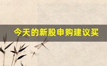 今天的新股申购建议买吗(今天的新股申购有哪些风险)_https://www.luoxuangg888.com_创业板_第1张