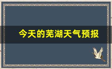 今天的芜湖天气预报_今晚芜湖天气