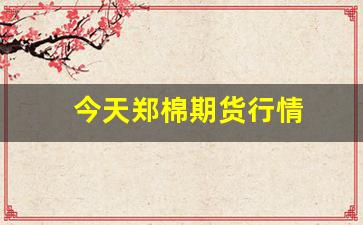 今天郑棉期货行情(最新郑棉期货行情金投网)_https://www.haiwangdasha.com_大商所_第1张