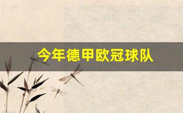 今年德甲欧冠球队-今年德甲欧冠球队名单