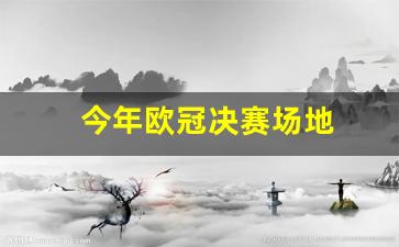 今年的欧冠决赛场地-今年欧冠决赛场地