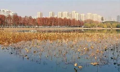 今年湖北天气冬天如何形容这个冬天_今年湖北天气冬天如何形容