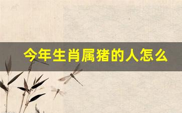 属猪今年好不-今年生肖属猪的人怎么样