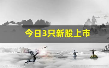 今日3只新股上市(今日3只新股上市的股票)_https://www.gfdzclz.com_上交所_第1张