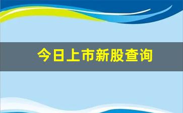 今日上市新股查询(今日上市新股查询300339)_https://www.dongshengweixin.com_北交所_第1张