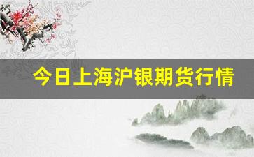 今日上海沪银期货行情(今日上海沪银期货行情怎么样)_https://www.ljyuan-tech.com_科创吧_第1张