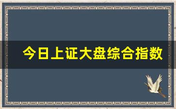 今日上证大盘综合指数走势图表(上证600111指数今日大盘)_https://www.heiljjianzu.com_科创板_第1张