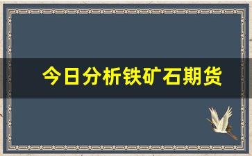 今日分析铁矿石期货(铁矿石期货今日走向)_https://www.wanyuyiyao.com_北交所_第1张