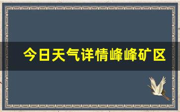 峰峰矿区天气15天查询_今日天气详情峰峰矿区