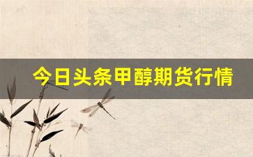 今日头条甲醇期货行情走势(甲醇实时期货行情走势)_https://www.erdeww.com_期货行情_第1张