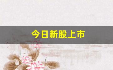 今日新股上市(今日新股上市交易的股票)_https://www.jumanxin.com_上交所_第1张
