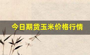 今日期货玉米价格行情最新(今日玉米期货实时走势图)_https://www.gfdzclz.com_上交所_第1张