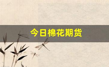 今日棉花期货(今日棉花期货实时行情)_https://www.xzdzcjx.com_北交所_第1张