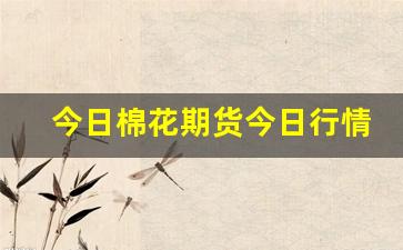 今日棉花期货今日行情(今日棉花期货价格图)_https://www.erdeww.com_期货知识_第1张