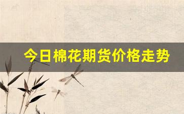 今日棉花期货价格走势图最新行情(今日棉花期货什么价格)_https://www.tuogunzhijia.com_内盘期货_第1张