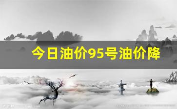 今日油价95号油价降多少了啊呢怎么回事儿