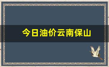 保山市今日油价-今日油价云南保山