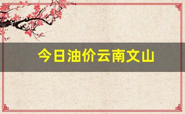 文山今日油价92汽油价格-今日油价云南文山
