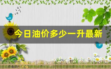今日油价多少一升最新价格-今曰油价多少