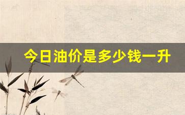 今日油价92汽油多少钱1l_今日油价是多