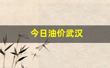 今日油价武汉最新消息-今日油价武汉