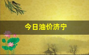 济宁油价今日价格-今日油价济宁