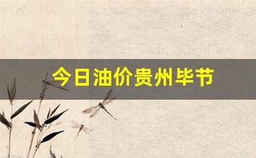 毕节油价92汽油价格-今日油价贵州毕节