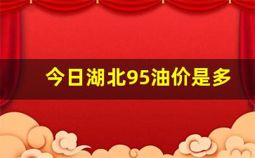 今日湖北95油价是多少-湖北今日油价95汽油多少钱一升