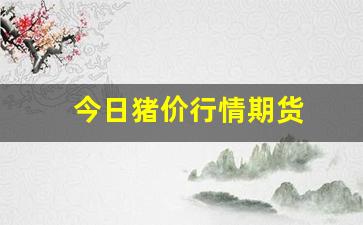 今日猪价行情期货(今日猪价行情官方网站)_https://www.huakunhengjia.com_期货资讯_第1张