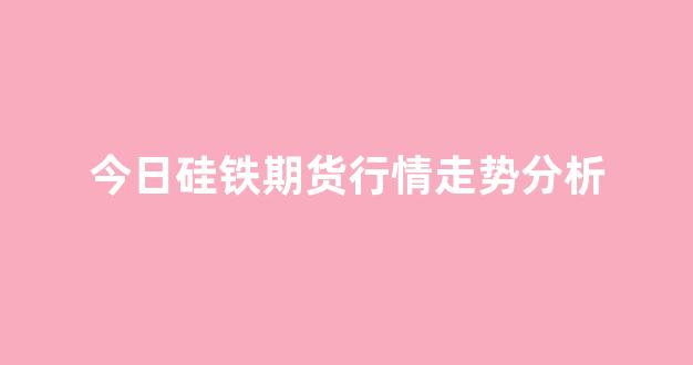 今日硅铁期货行情走势分析(硅铁价格)_https://www.hhem8.com_上交所_第1张