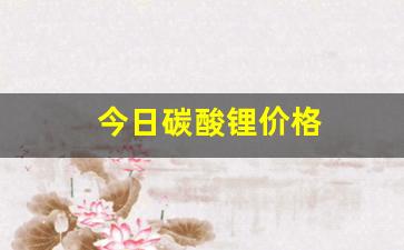 今日碳酸锂价格(今日碳酸锂价格最新行情走势)_https://www.qgjzrcxxzxpt.com_大商所_第1张