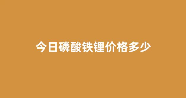 今日磷酸铁锂价格多少(磷酸铁锂现在价格)_https://www.ccit-cctv.com_上交所_第1张