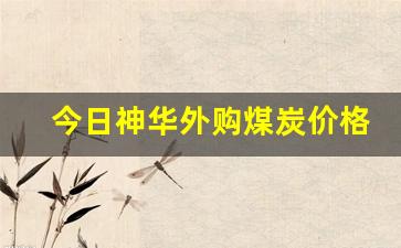 今日神华外购煤炭价格(神华今日港口外购煤炭价格)_https://www.gzyhshgzzx.com_郑商所_第1张