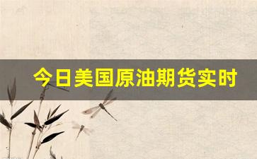 今日美国原油期货实时行情走势(今日美国原油期货实时行情走势图)_https://www.haiwangdasha.com_郑商所_第1张