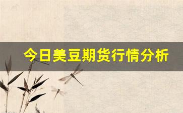 今日美豆期货行情分析(美豆期货行情走势图)_https://www.wanyuyiyao.com_创业板_第1张